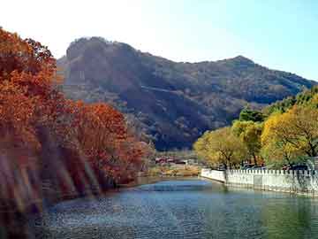 澳门天天开奖免费资料，四川海峡钓鱼网